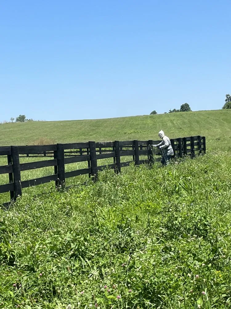 Reliable garden landscaping for residential properties in Harrodsburg, KY by Yeager Brother’s Services