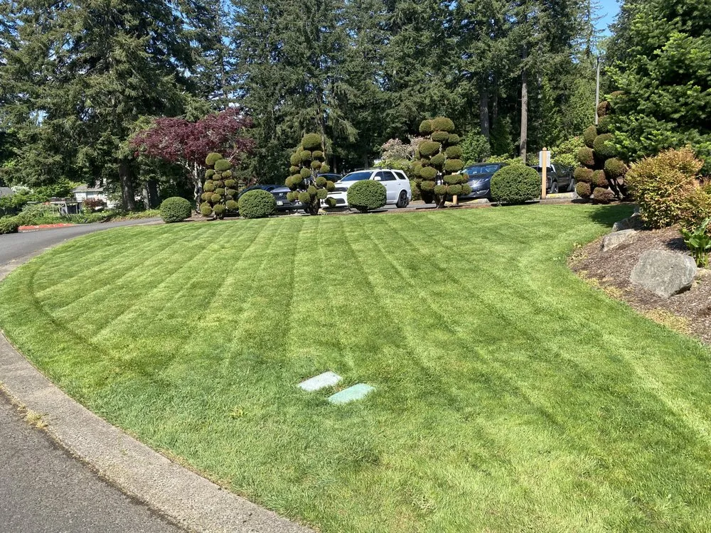 Professional landscape installation in Gresham, OR - Yeager Landscaping