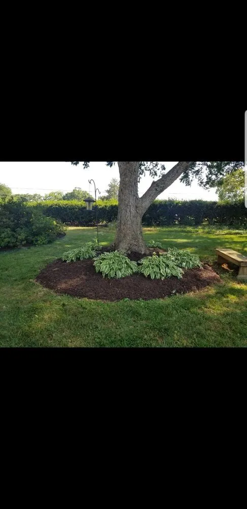 Affordable lawn care service for beautiful yards in Greenville, SC by Yeah That Yard