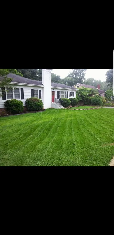 Local landscape installation near you in Greenville, SC by Yeah That Yard