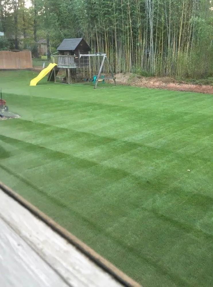 Trusted garden landscaping in Greenville, SC - Yeah That Yard
