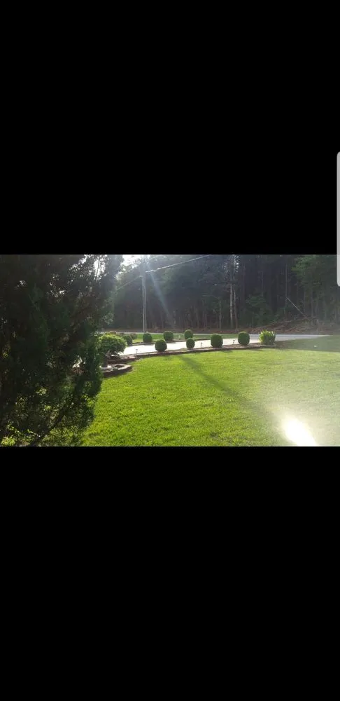 Custom lawn mowing service for outdoor upgrades in Greenville, SC by Yeah That Yard