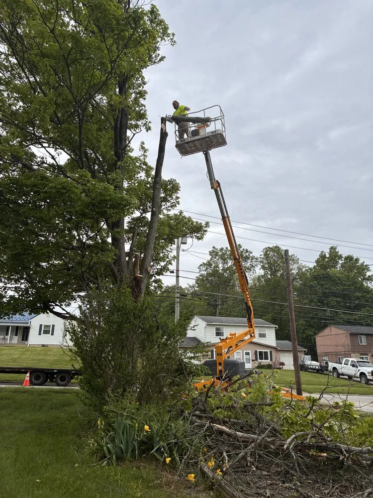 Affordable landscaping services for beautiful yards across Barberton, OH - Yeaples Lawn & Home Services
