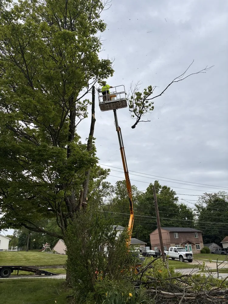 Local landscaping services experts serving Barberton, OH - Yeaples Lawn & Home Services