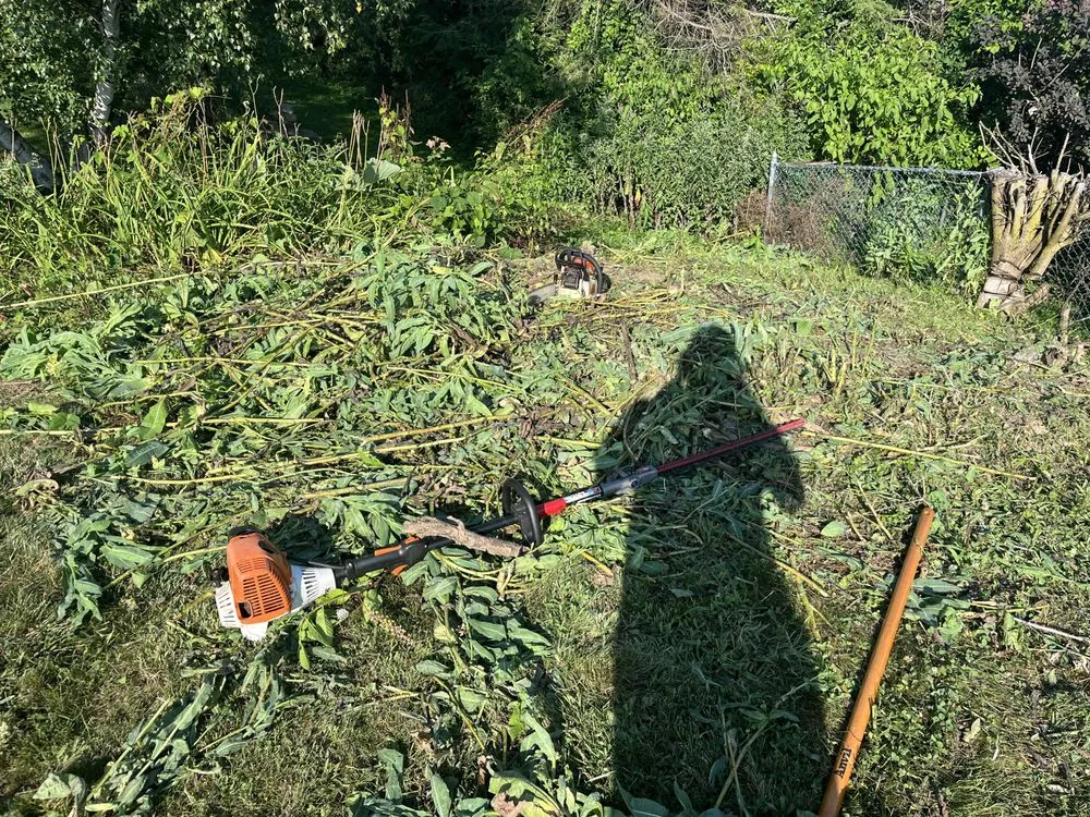 Top-rated lawn mowing service in Scottdale, PA - Year Round Grounds