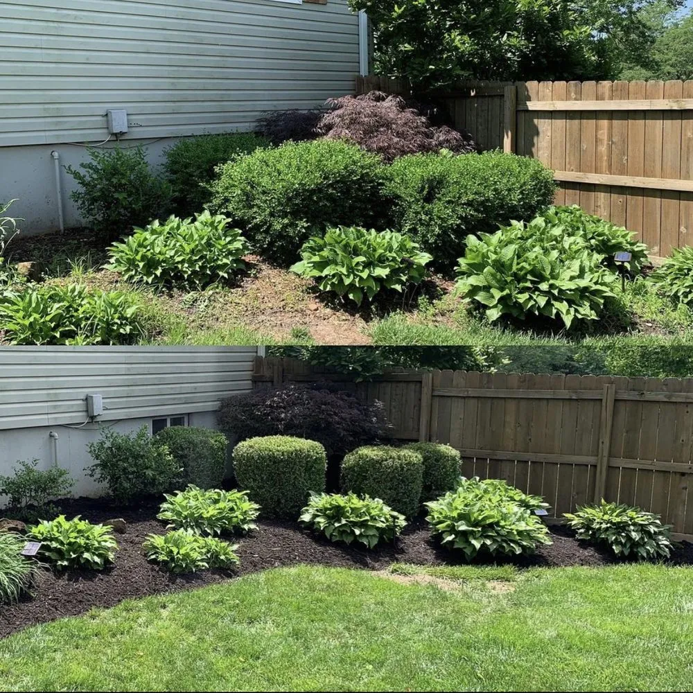 Trusted residential landscaping in Denver, CO by Year Round Landscape