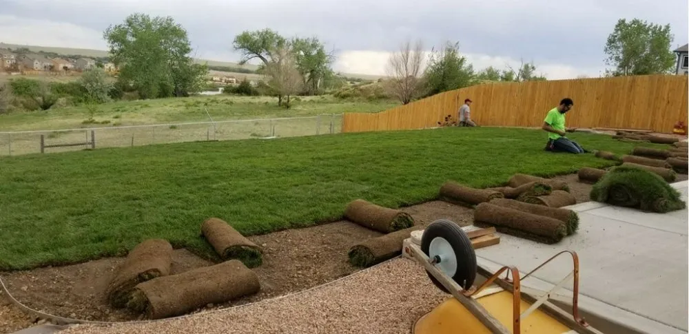 Trusted residential landscaping in Colorado Springs, CO - Year Round Landscaping & Fences