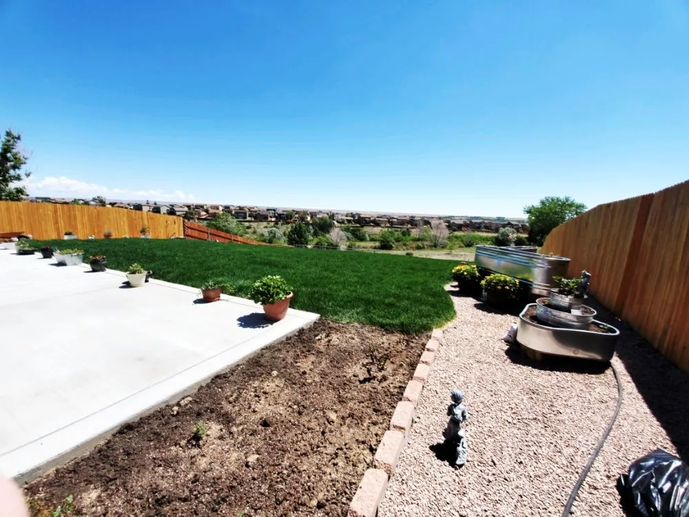 Top-rated yard cleanup service in Colorado Springs, CO by Year Round Landscaping & Fences