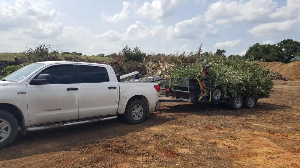 Top-rated lawn care service for homes across Bryan, TX - Year Round Landscaping