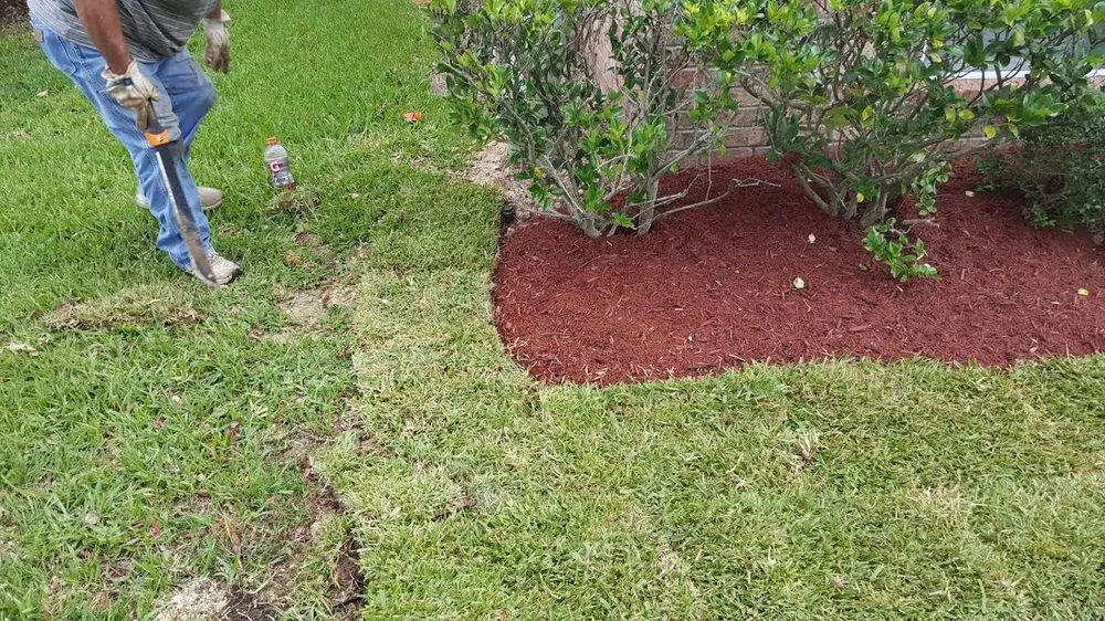 Top-rated yard cleanup service in Bryan, TX - Year Round Landscaping