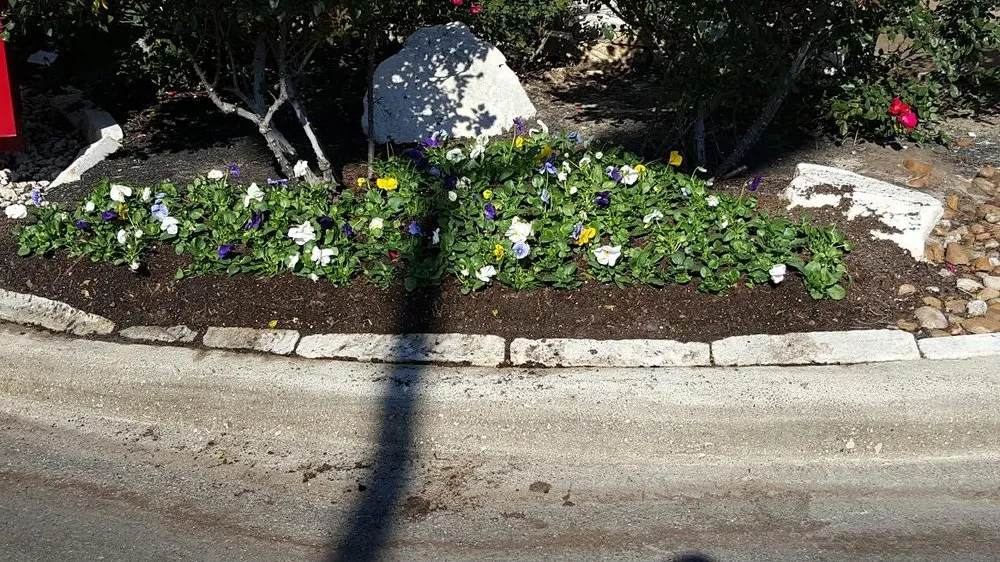 Top-rated landscaping services in Bryan, TX by Year Round Landscaping