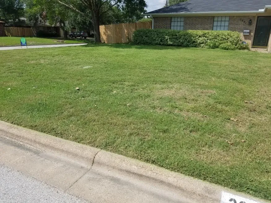 Top-rated landscape installation for homes across Bryan, TX - Year Round Landscaping