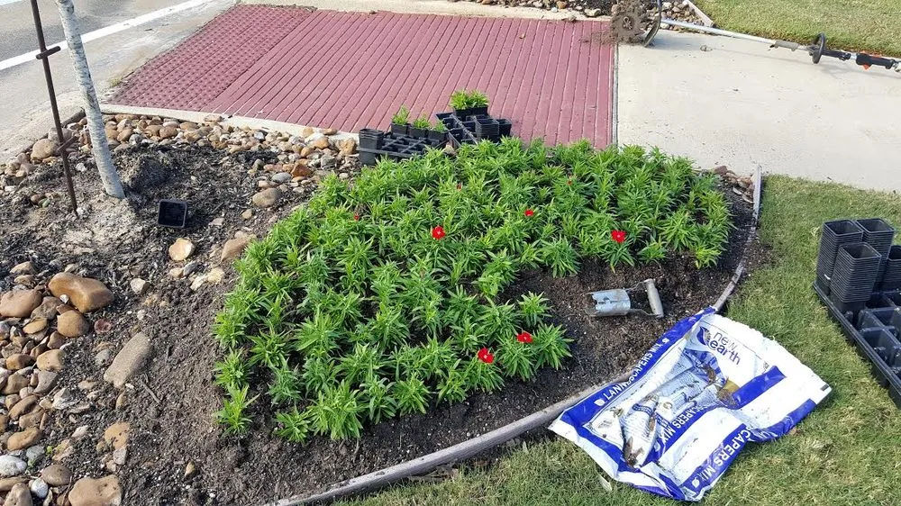 Reliable yard cleanup service for residential properties across Bryan, TX - Year Round Landscaping