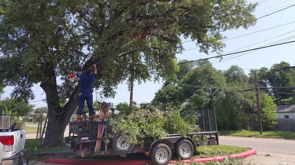 Local landscape design experts serving Bryan, TX - Year Round Landscaping