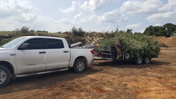 Year Round Landscaping Logo