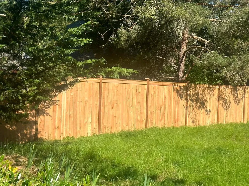 Top-rated lawn care service experts serving Kirkland, WA - Year Round Landscaping