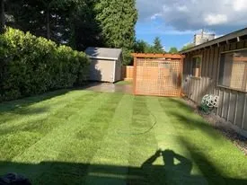 Local residential landscaping in Kirkland, WA - Year Round Landscaping