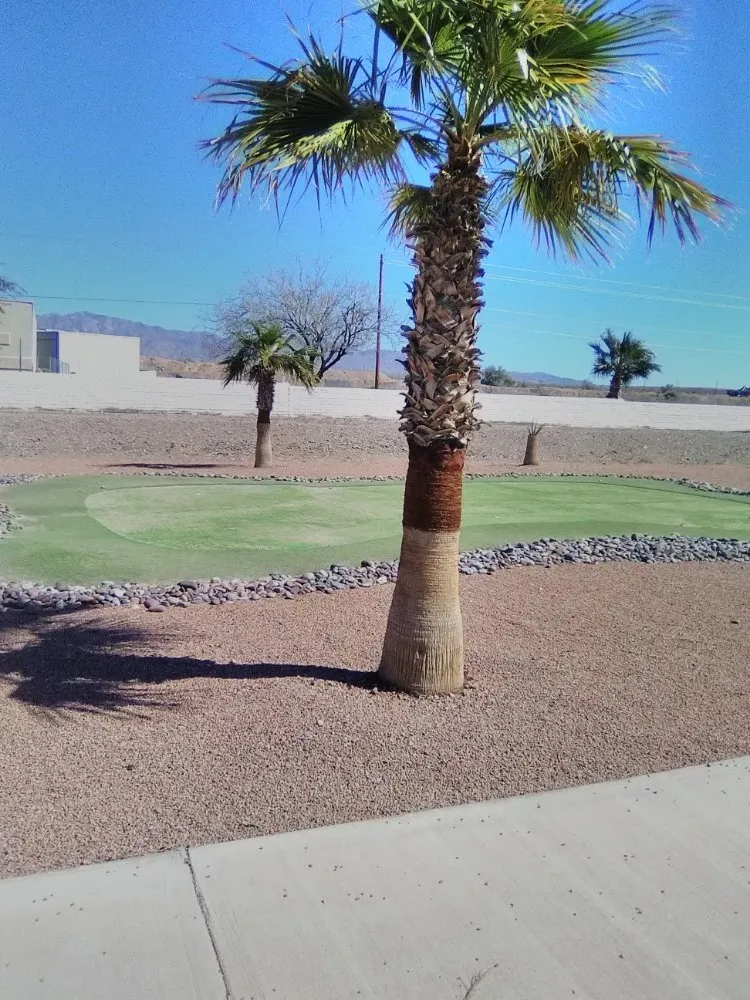 Professional landscaping services in Lake Havasu City, AZ by Year Round Landscaping