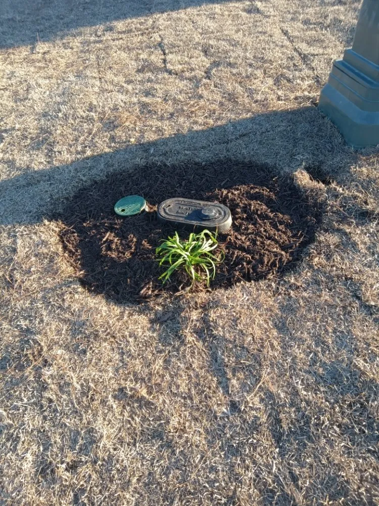 Affordable yard maintenance experts serving Sunset Beach, NC - Year Round Lawn & Landscape