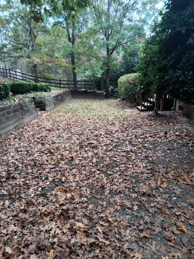 Custom yard cleanup service in Sunset Beach, NC by Year Round Lawn & Landscape