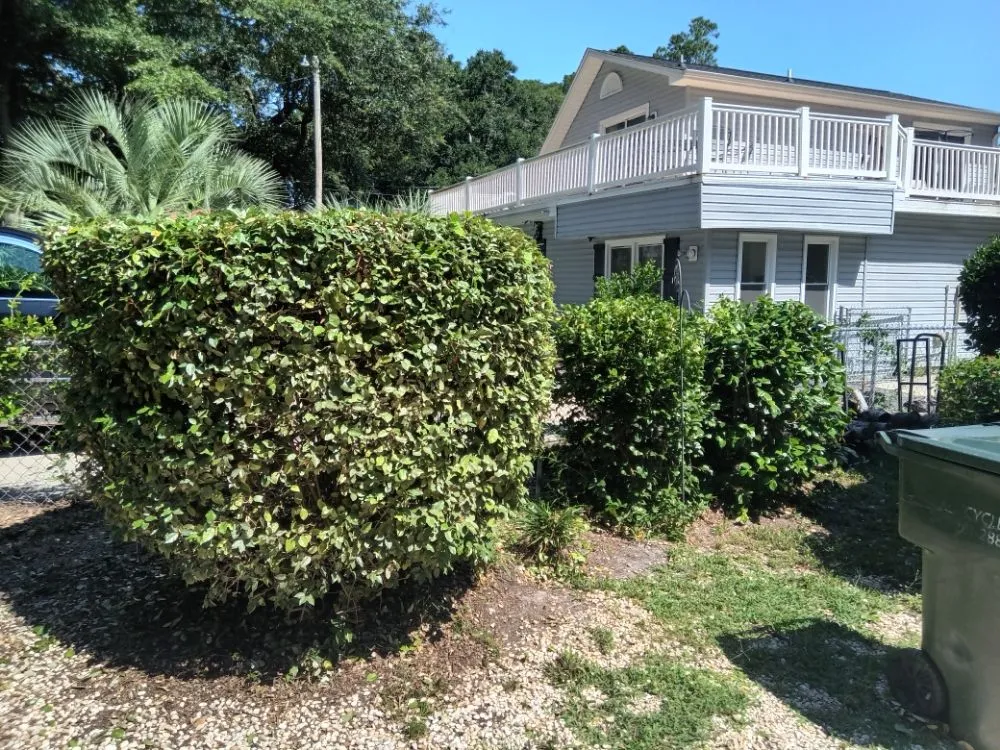 Expert residential landscaping in Sunset Beach, NC - Year Round Lawn & Landscape