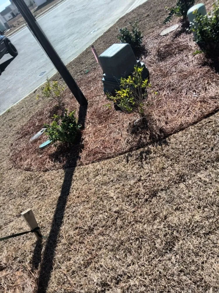 Custom landscape design for residential properties in Sunset Beach, NC by Year Round Lawn & Landscape