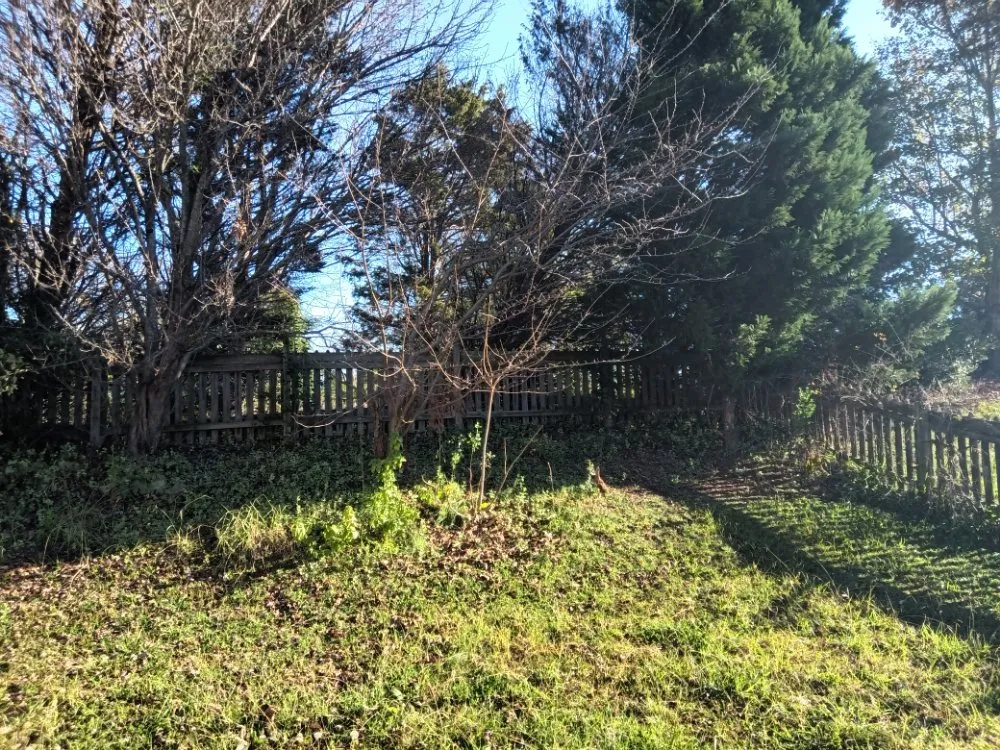 Affordable outdoor landscaping in Sunset Beach, NC - Year Round Lawn & Landscape