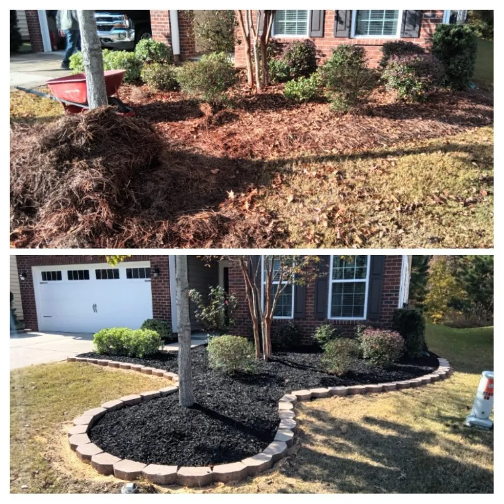 Custom yard cleanup service in Sunset Beach, NC - Year Round Lawn & Landscape