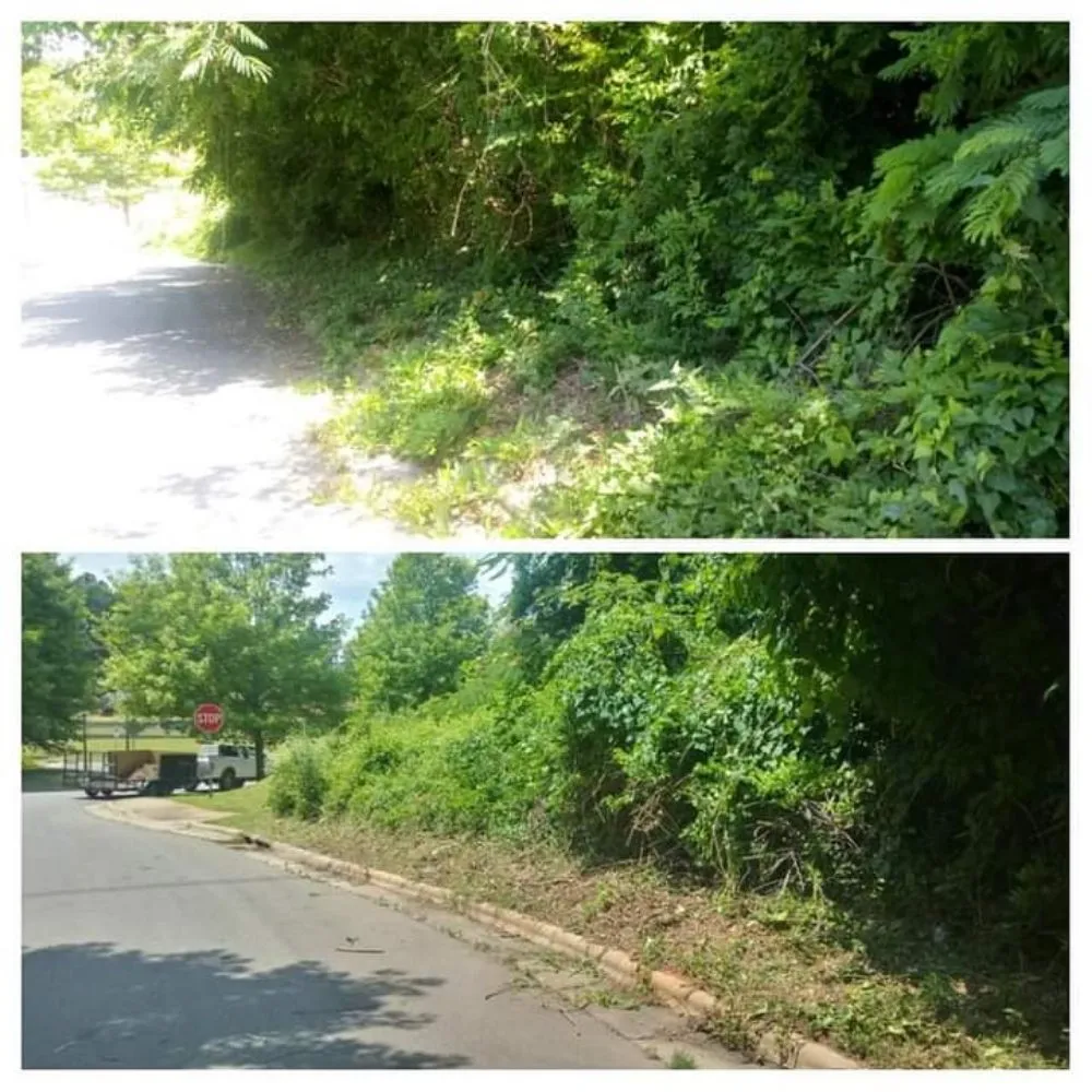 Trusted landscape design in Sunset Beach, NC by Year Round Lawn & Landscape