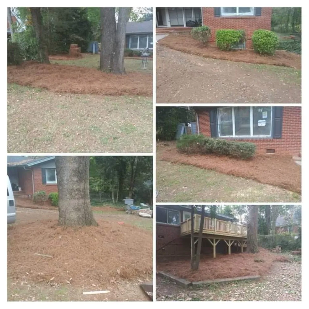 Expert yard cleanup service with custom design in Sunset Beach, NC by Year Round Lawn & Landscape