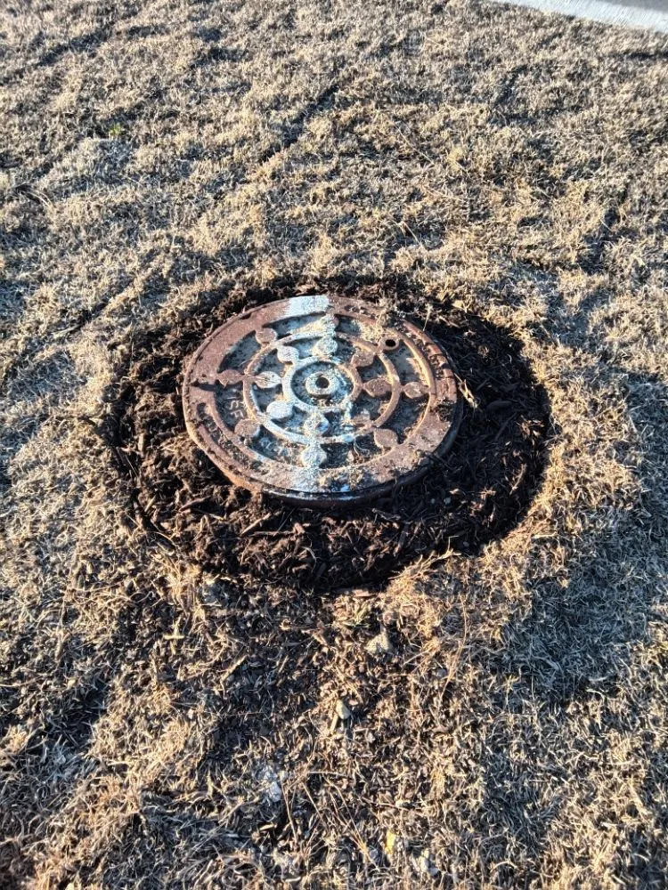 Custom yard maintenance experts serving Sunset Beach, NC - Year Round Lawn & Landscape