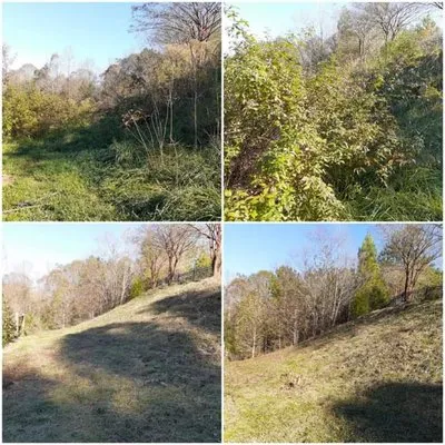 Year Round Lawn & Landscape