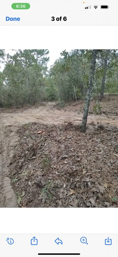 Expert lawn care service in Columbia, SC - Year Round Lawn Care