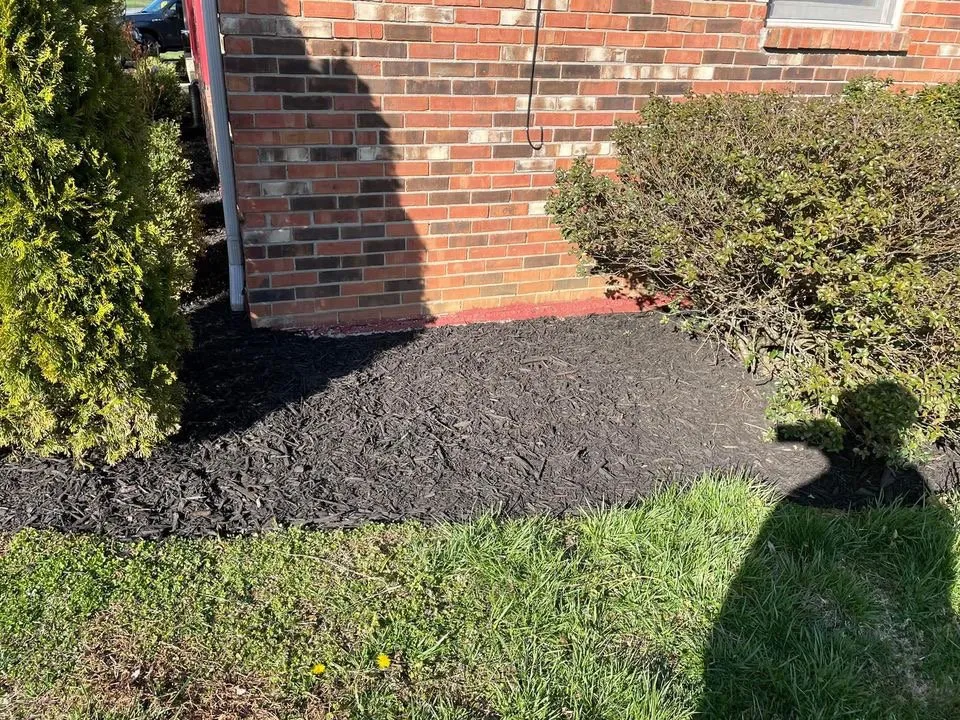 Custom lawn mowing service for homes in Louisville, KY by Yearns exterior cleaning & caretaking