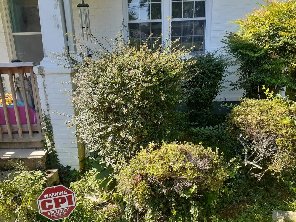 Custom landscape installation for year-round maintenance across Gretna, VA - Yeatts landscaping and handyman service