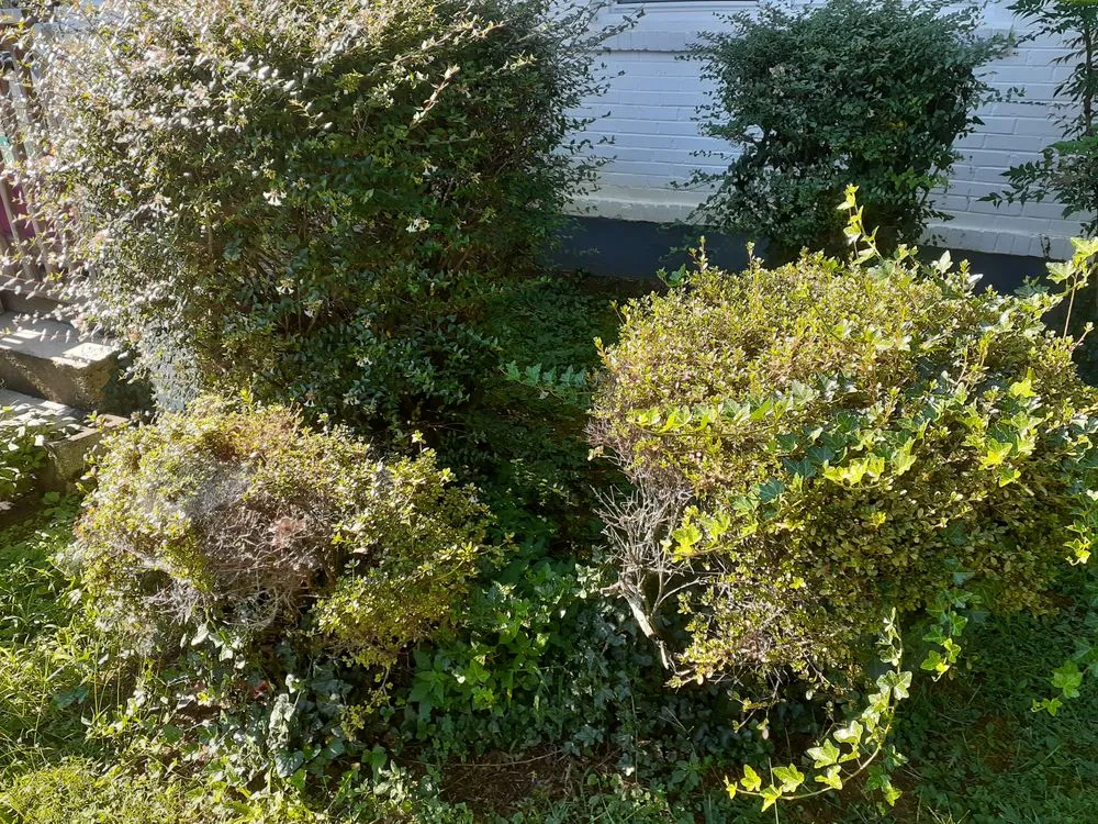 Reliable landscape installation for homes across Gretna, VA - Yeatts landscaping and handyman service