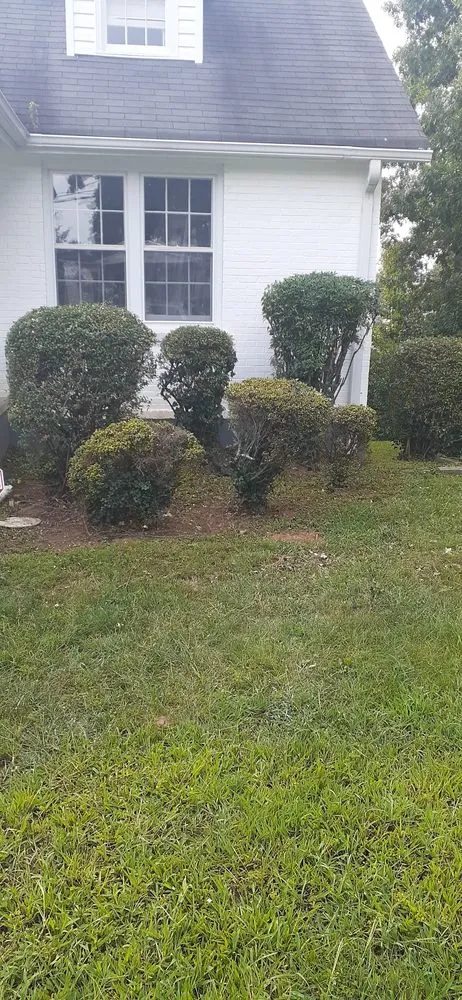 Expert outdoor landscaping experts serving Gretna, VA - Yeatts landscaping and handyman service