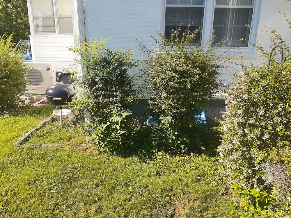 Professional lawn care service in Gretna, VA by Yeatts landscaping and handyman service