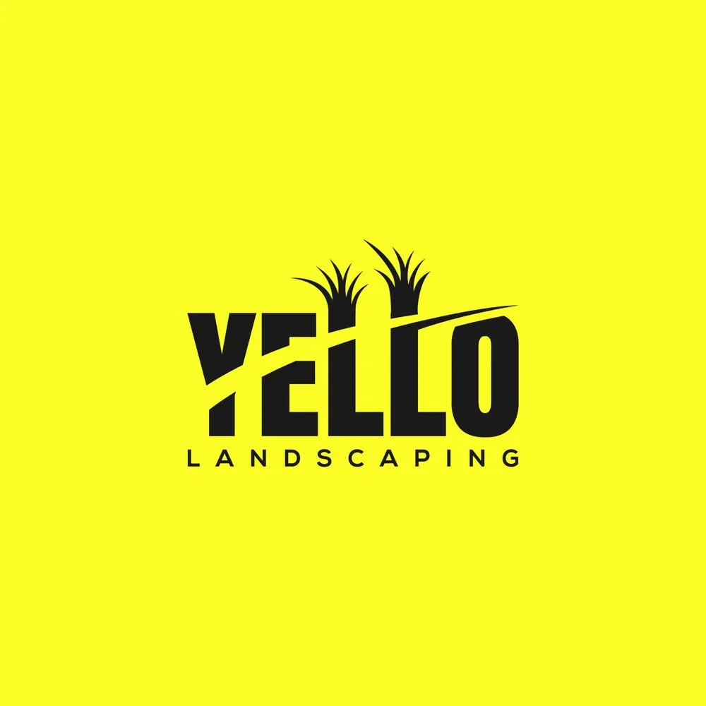 Reliable yard cleanup service for beautiful yards in Hartford, CT by Yello Landscaping