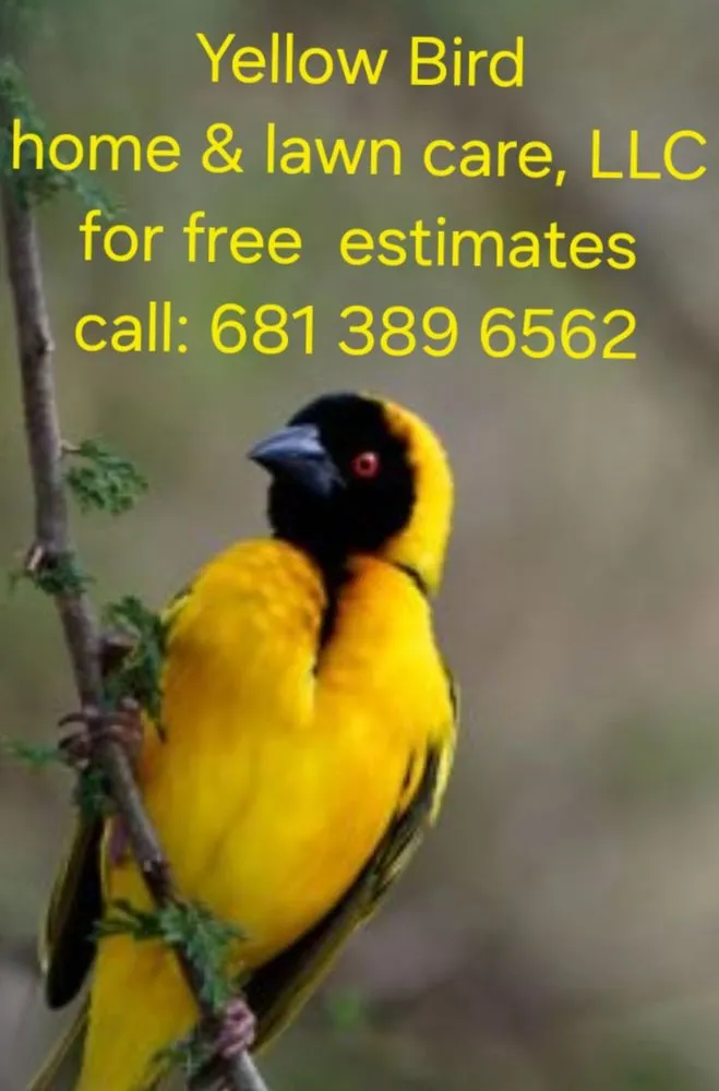 Expert lawn mowing service in Martinsburg, WV - Yellow Bird Home & Lawn Care