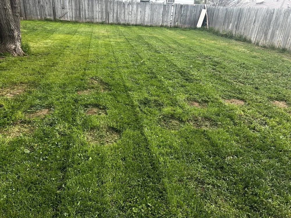 Affordable yard maintenance in Amarillo, TX - Yellow City Lawncare