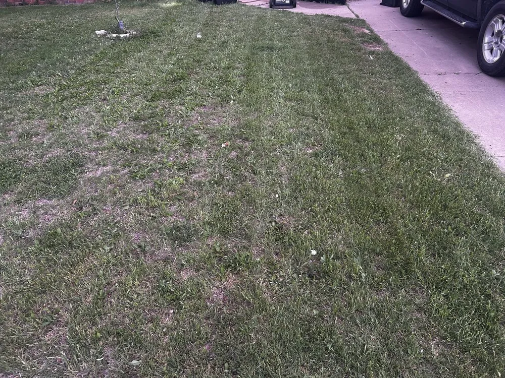 Trusted garden landscaping in Amarillo, TX by Yellow City Lawncare