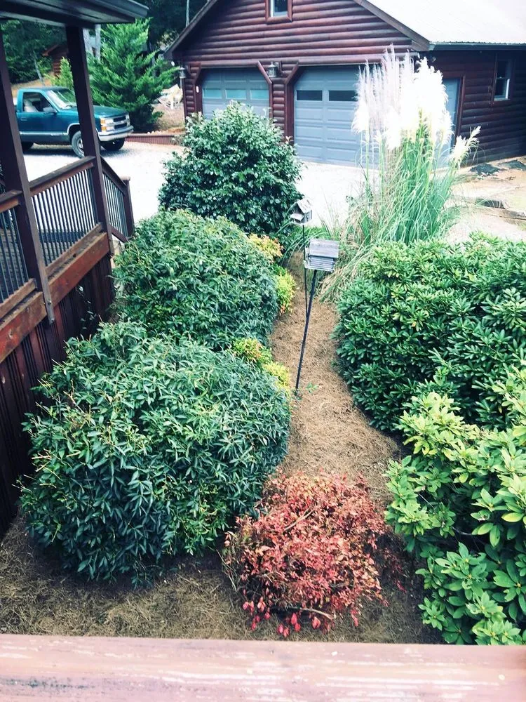 Affordable outdoor landscaping for year-round maintenance across Dahlonega, GA - Yellow creek property management