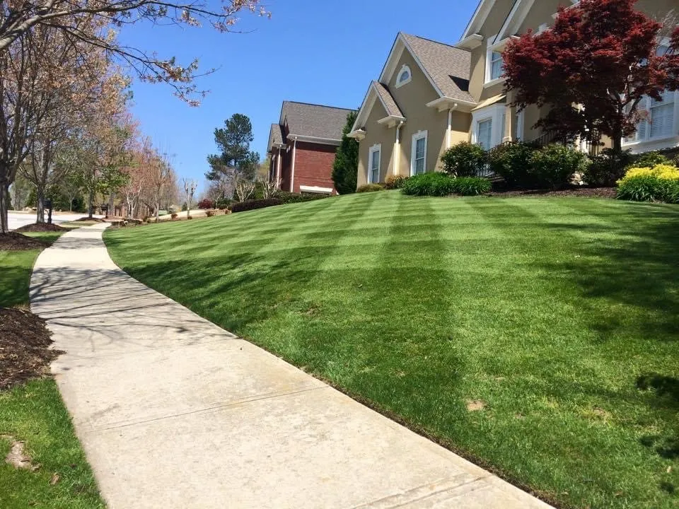 Reliable residential landscaping in Dahlonega, GA by Yellow creek property management