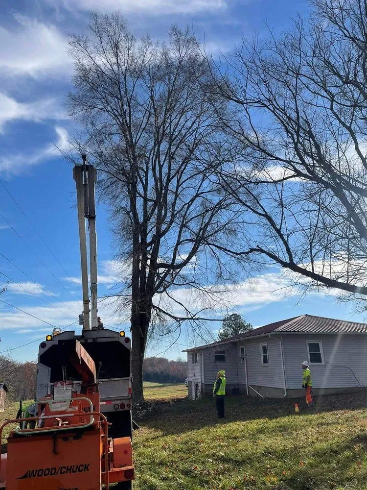 Trusted yard maintenance for residential properties across Dickson, TN - Yellow Creek Tree & Land Management