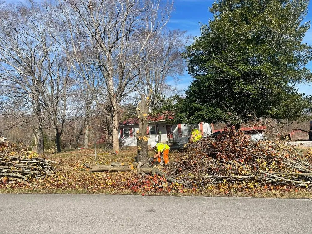 Top-rated residential landscaping experts serving Dickson, TN - Yellow Creek Tree & Land Management