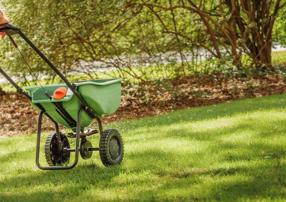 Custom yard cleanup service for beautiful yards across Travelers Rest, SC - Yellow Dog Lawn Care