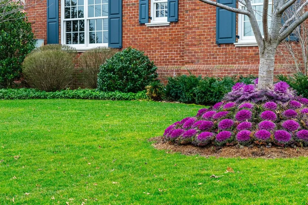 Expert landscape installation experts serving Travelers Rest, SC - Yellow Dog Lawn Care