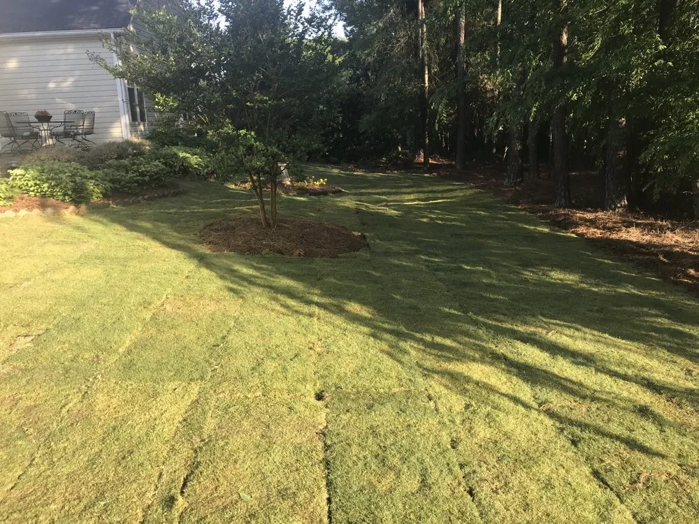 Trusted outdoor landscaping in Travelers Rest, SC - Yellow Dog Lawn Care