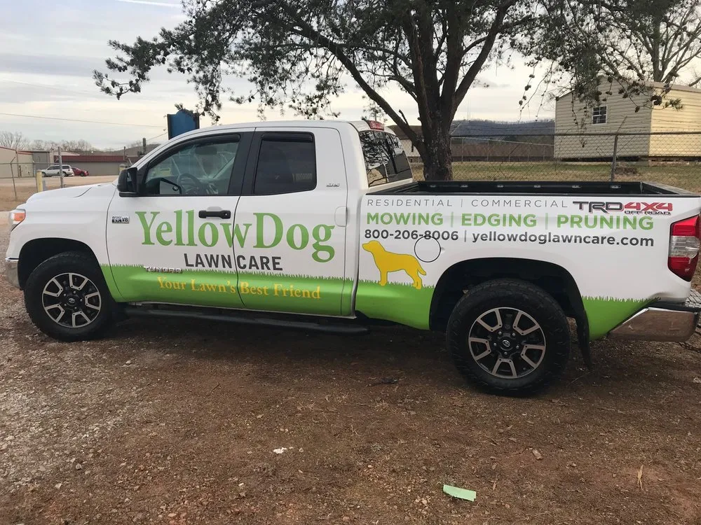 Local yard cleanup service in Travelers Rest, SC - Yellow Dog Lawn Care